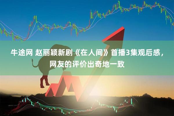 牛途网 赵丽颖新剧《在人间》首播3集观后感，网友的评价出奇地一致