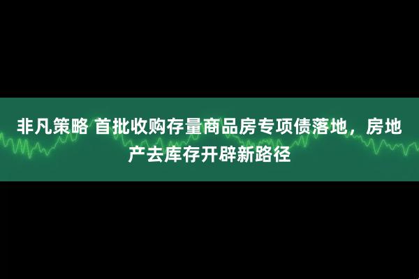 非凡策略 首批收购存量商品房专项债落地，房地产去库存开辟新路径