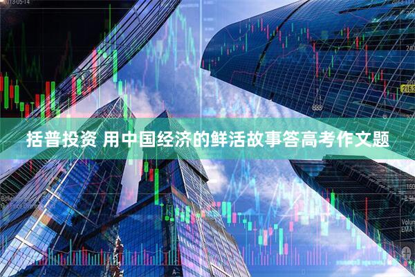 括普投资 用中国经济的鲜活故事答高考作文题