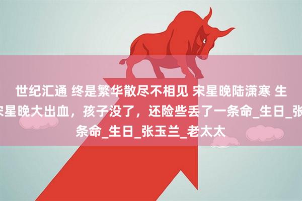 世纪汇通 终是繁华散尽不相见 宋星晚陆潇寒 生孩子那天，宋星晚大出血，孩子没了，还险些丢了一条命_生日_张玉兰_老太太