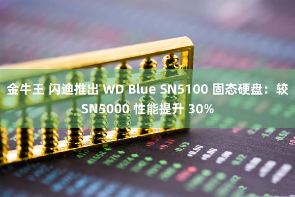 金牛王 闪迪推出 WD Blue SN5100 固态硬盘：较SN5000 性能提升 30%