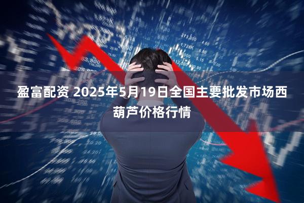 盈富配资 2025年5月19日全国主要批发市场西葫芦价格行情