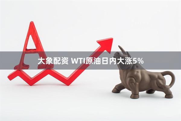 大象配资 WTI原油日内大涨5%